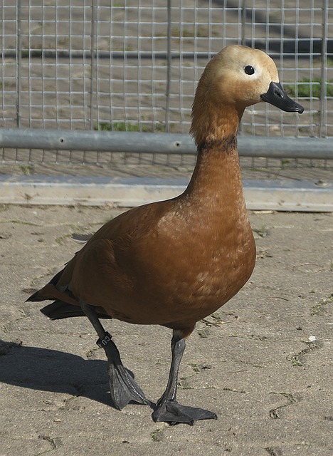 其实离不开